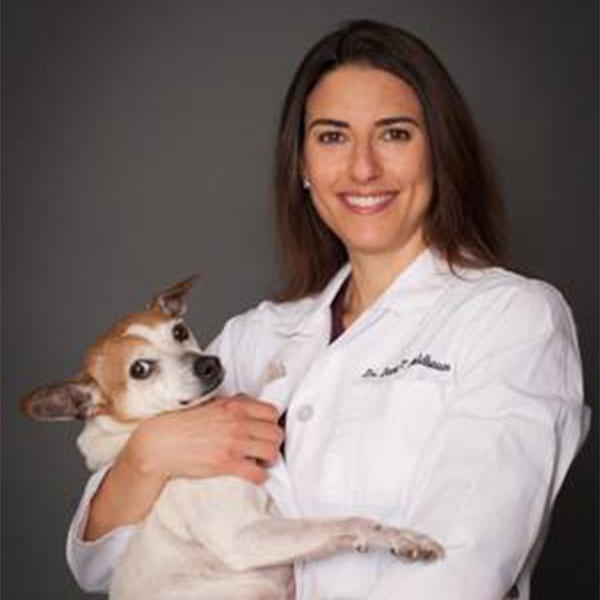 , Denver Small Animal Veterinarian